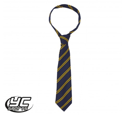 Stanwell School Tie (Year 9, 10,11)